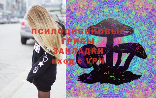СК Михайловск