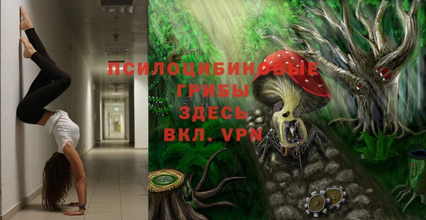 СК Михайловск