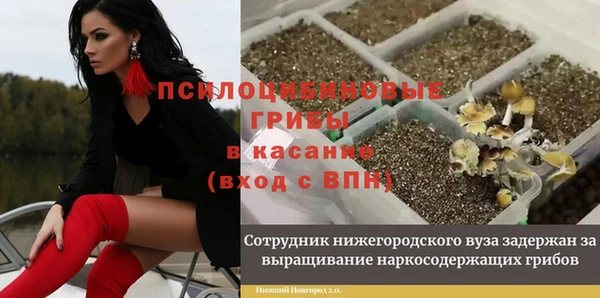 прущая мука Михайловка