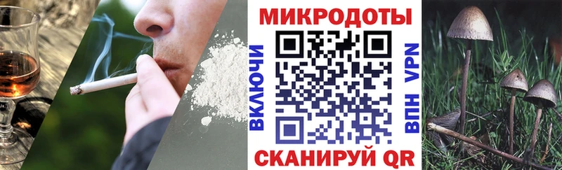 Купить где  Кочубеевское  Галлюциногенные грибы Psilocybe 